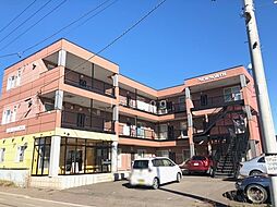 ニューノース 304