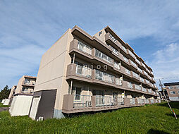 ニュータウン若葉F棟 103