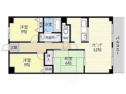 アルカディアコート