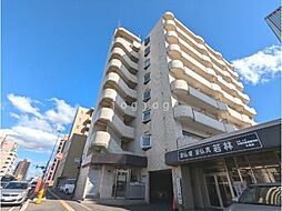 デベックス199 702