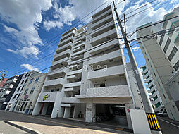 ＶＩＯＬＥＴＴＡ 503