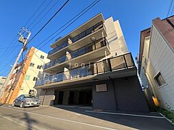 Ｓａｎｓｅｖｉｅｒｉａ714 101