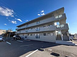 プリムローズカクショー