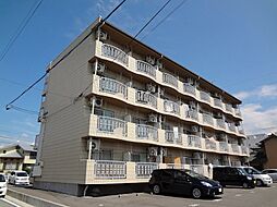 クオリティ白眉