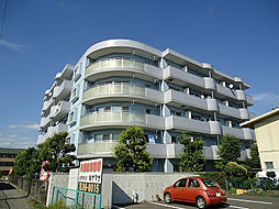 エクセルとよしな