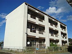 ホワイトフラッツ