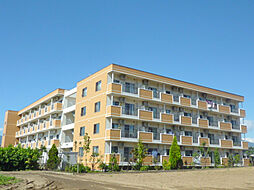 セレナヴィータ浅間S 207