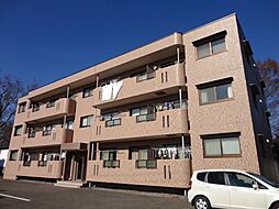 アコシスト・アルモニィ 303