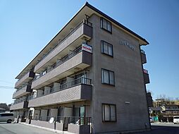 ビッグウイング 311