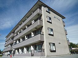 ビッグウイング 206