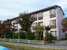 アゼリアガーデン