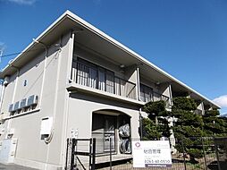 パルデンス桔梗B