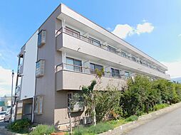 ビックソルトヒルA