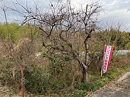 売土地　南河内郡太子町　太子