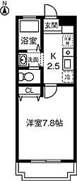 ラヴィエホンダ 202