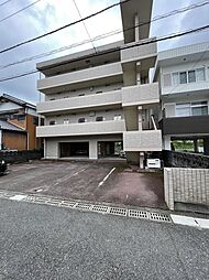 ライトベア 205