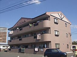 M．N．R．KOKUBU 303