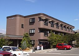 グリーン花水木 302