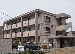 Dearcortkawanami 303