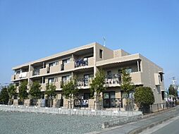 グローイングコート 101