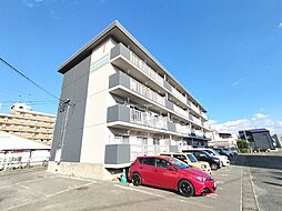 サルヴァトーレ小森野 121