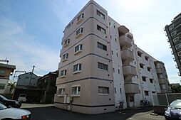 シェル幹 302