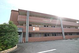 エテルネルソレイユIII 202