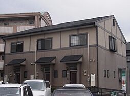 ボーントマトタウン D-3