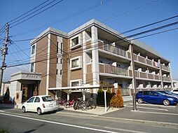 フィオーレ 206