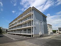 サルヴァトーレ津福 224