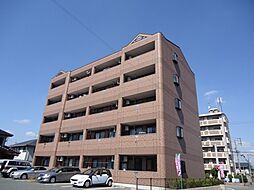 グランディールチェリー 205