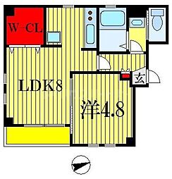 シャリマー　ディス