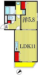 Elvita（エルヴィータ）