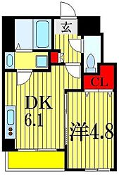 Ｆａｉｒｙ　ｃｈiｂａ（フェアリーチバ）