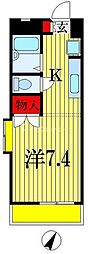 グレースコート