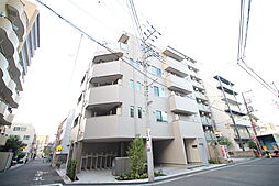 モンステラ 303
