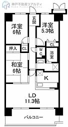 グレーシィ須磨アルテピアII
