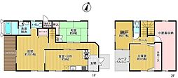 白水