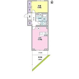 カーサルピナス 103