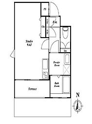 サンチャリーフ