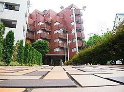 チュリス氷川坂
