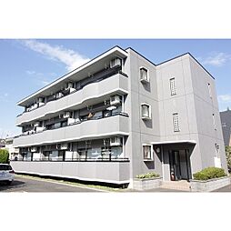 プリムローズ・アイ 103