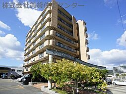 岩出市金池