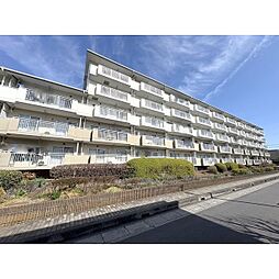 コーポレート南与野 108