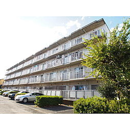 戸山ハウス 00104