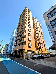 ダイアパレス川崎元木町