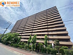 堺市堺区神南辺町2丁