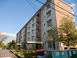 東高森団地11号棟 206