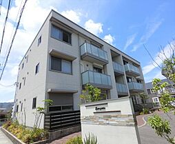 エバーグリーン