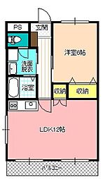 ソフィアケートKAITO